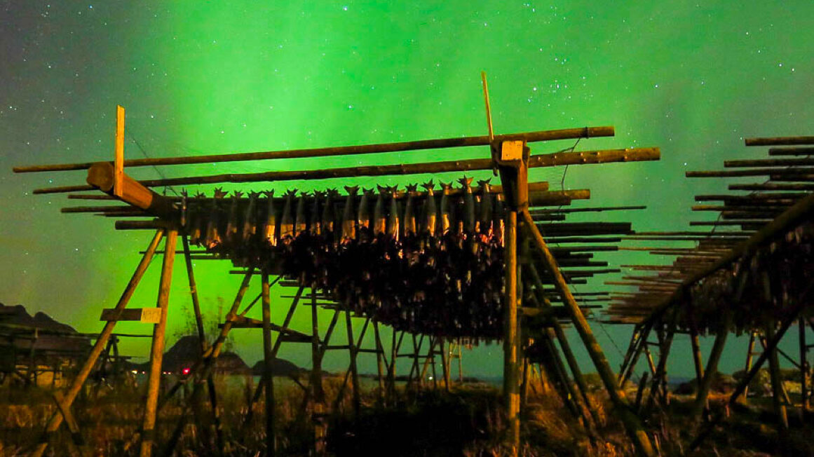 Northern lights