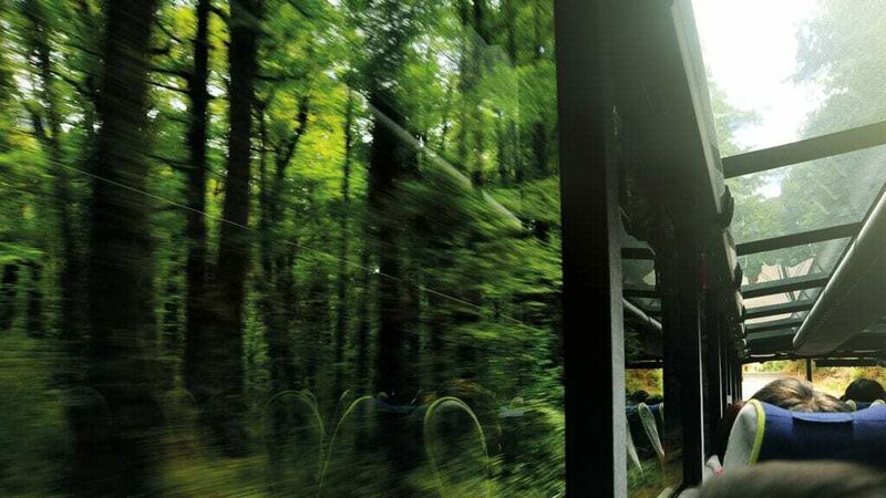 Green bus drive 1024x576