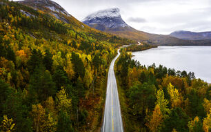 Getty Images 1087003606