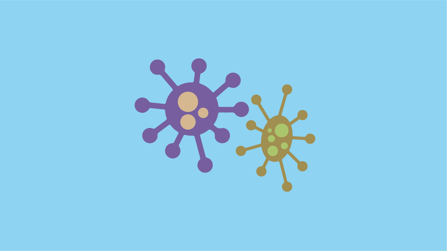 Lucha contra el norovirus y el sapovirus