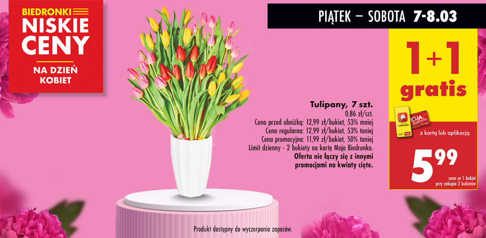 Tulipany 7 sztuk