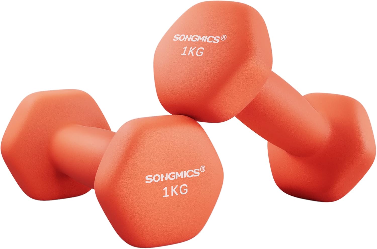 Zestaw hantli SONGMICS, 2x 1KG