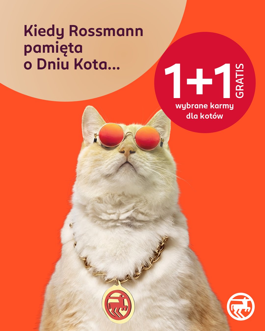 Promocja 1+1 gratis w Rossmann na wybrane karmy dla kotów z okazji Dnia Kota