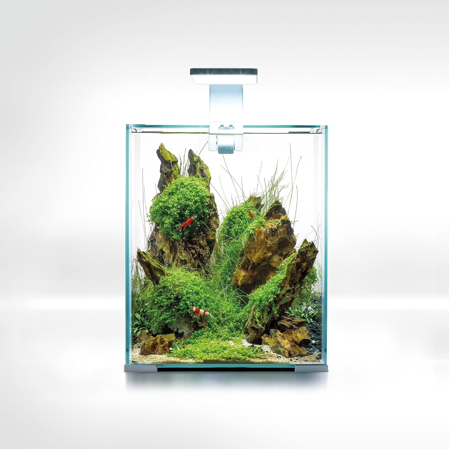 Zestaw SHRIMP SET SMART D&N 20 BIAŁY COM (małe akwarium dla roślin rybek)