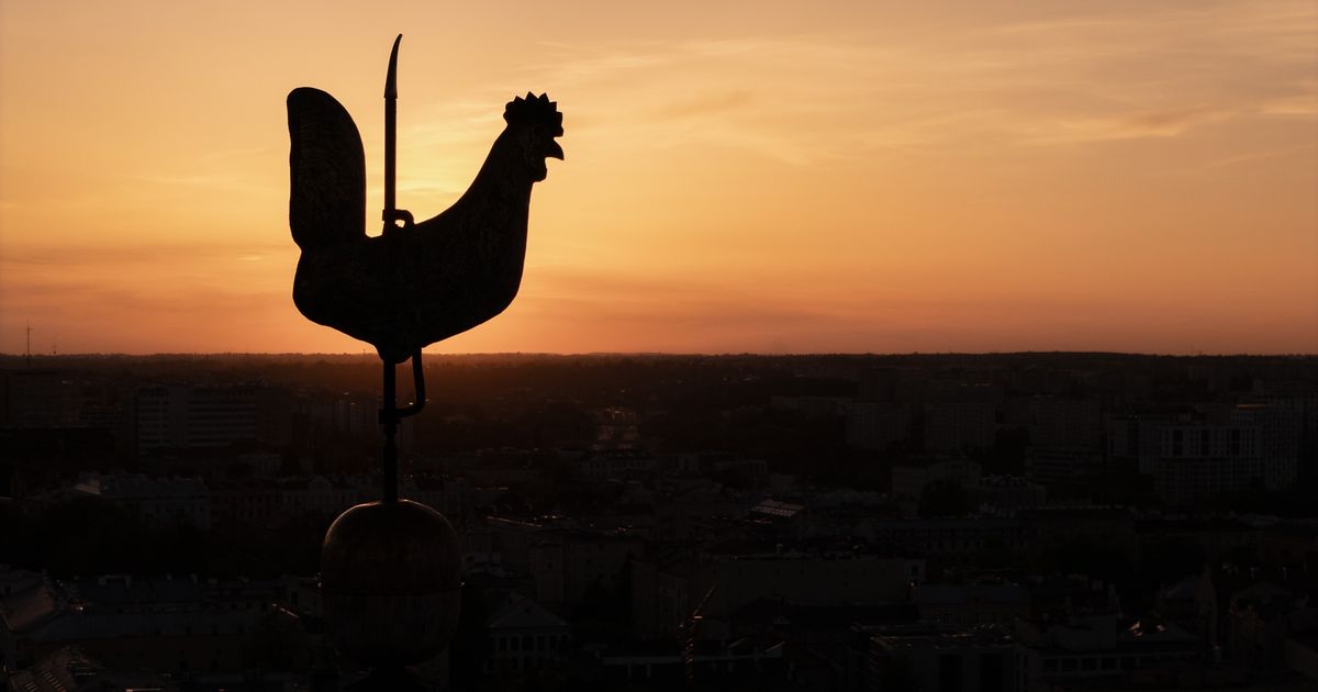 Lublin rozszerza bezpłatne wsparcie dla osób uzależnionych od alkoholu!