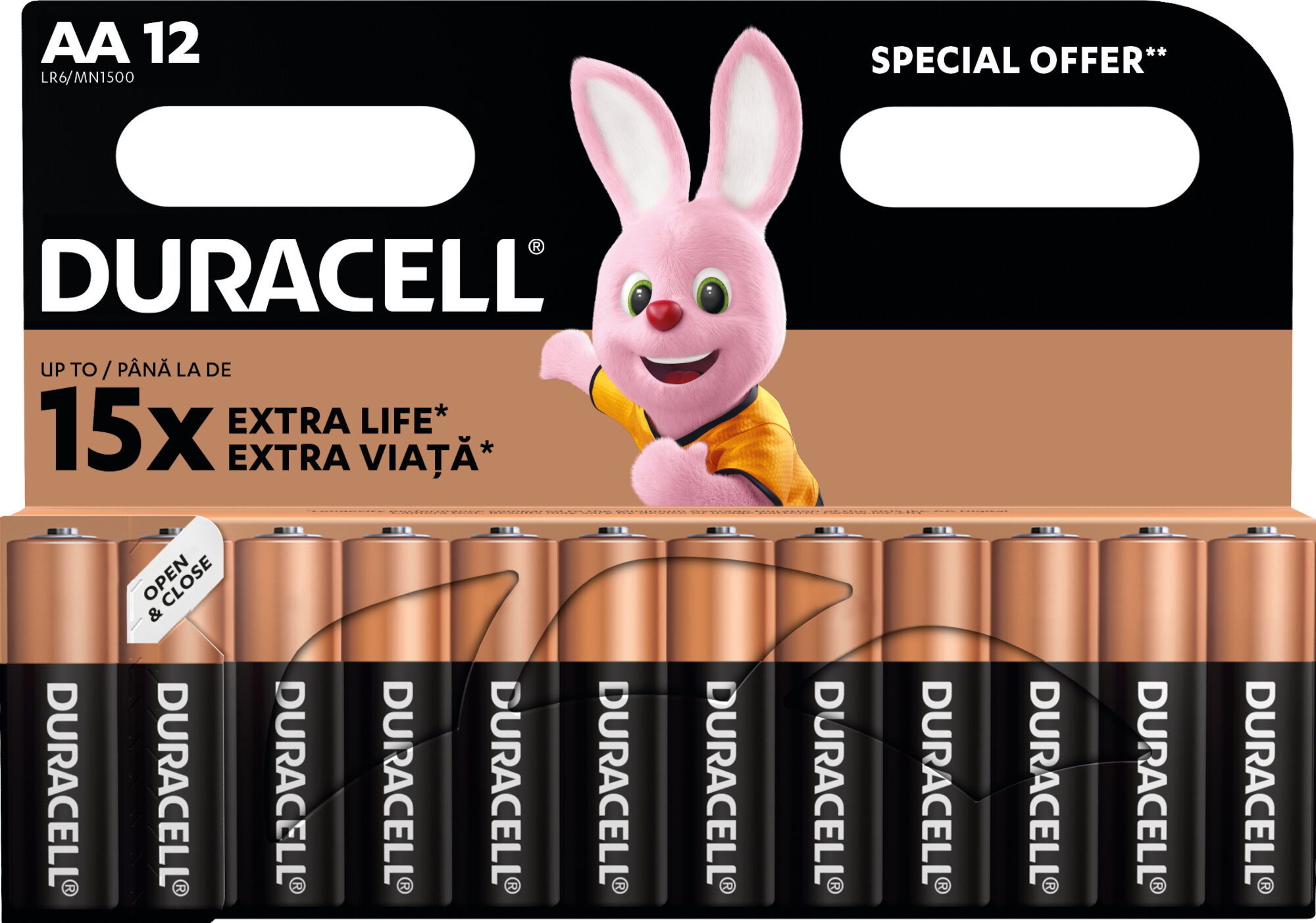Baterie AA LR6 DURACELL Basic (12 szt.)