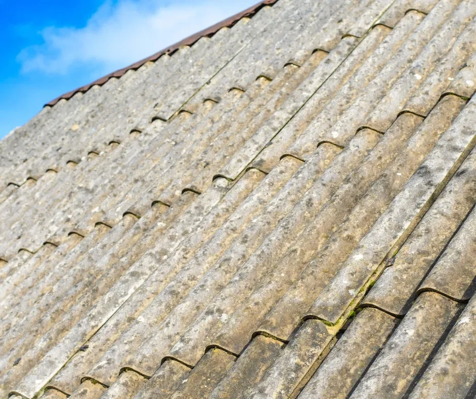 Bezpłatnego programu usuwania azbestu w Rudzie Śląskiej