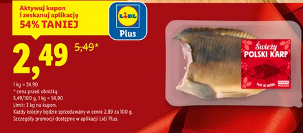 Świeży Polski Karp płaty LIDL