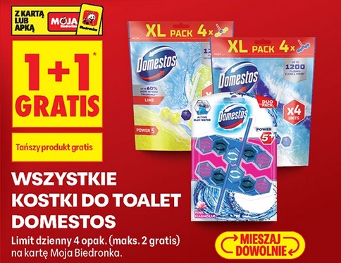 Wszystkie kostki do toalet DOMESTOS (1+1 GRATiS)