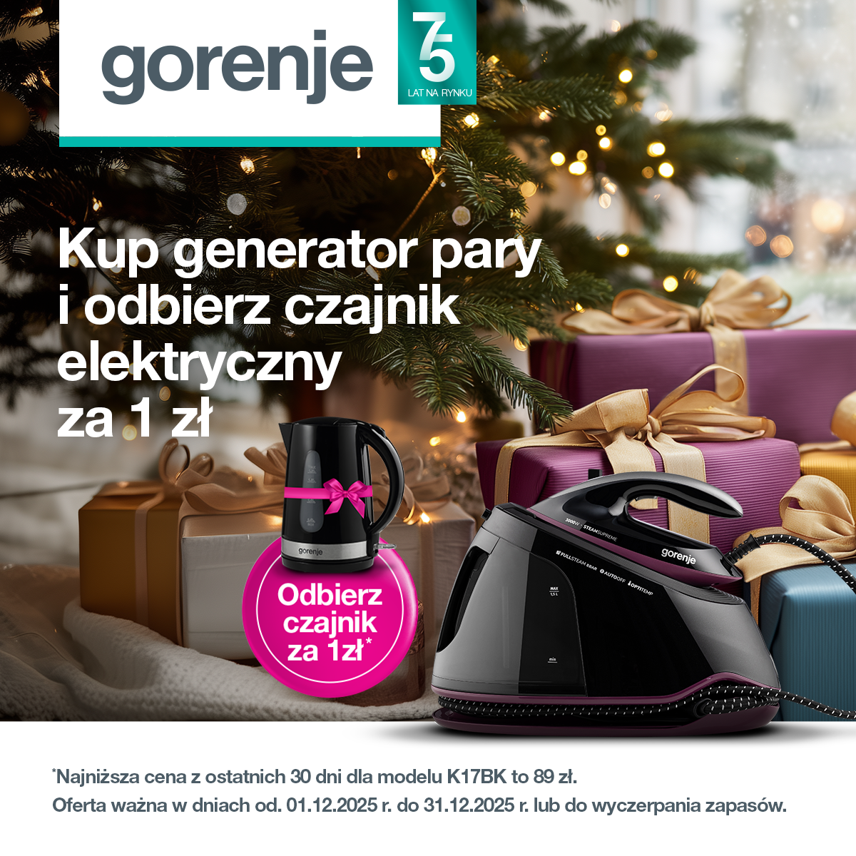 Generator pary + czajnik Gorenje