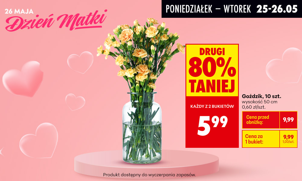 Goździk, 10 sztuk (przy zakupie 2 bukietów)