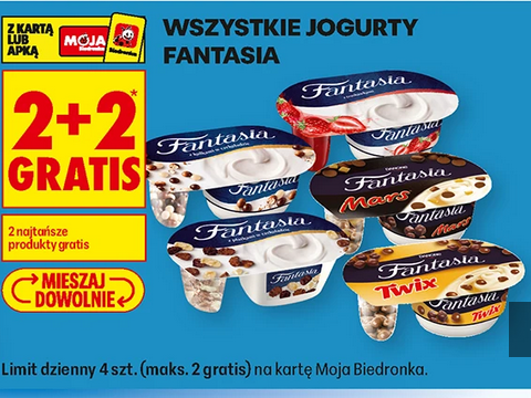 Wszystkie jogurty FANTASiA (2+2 GRATiS)