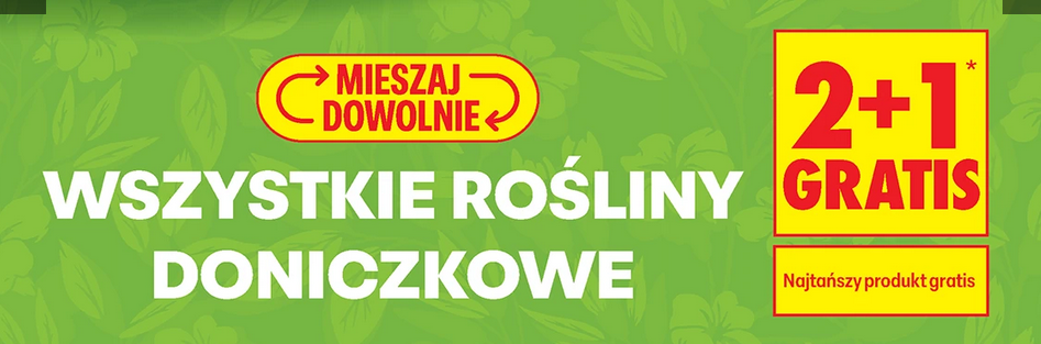 Wszystkie rośliny doniczkowe (2+1 GRATiS)