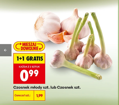 Czosnek młody szt. lub czosnek szt. (1+1 GRATIS)