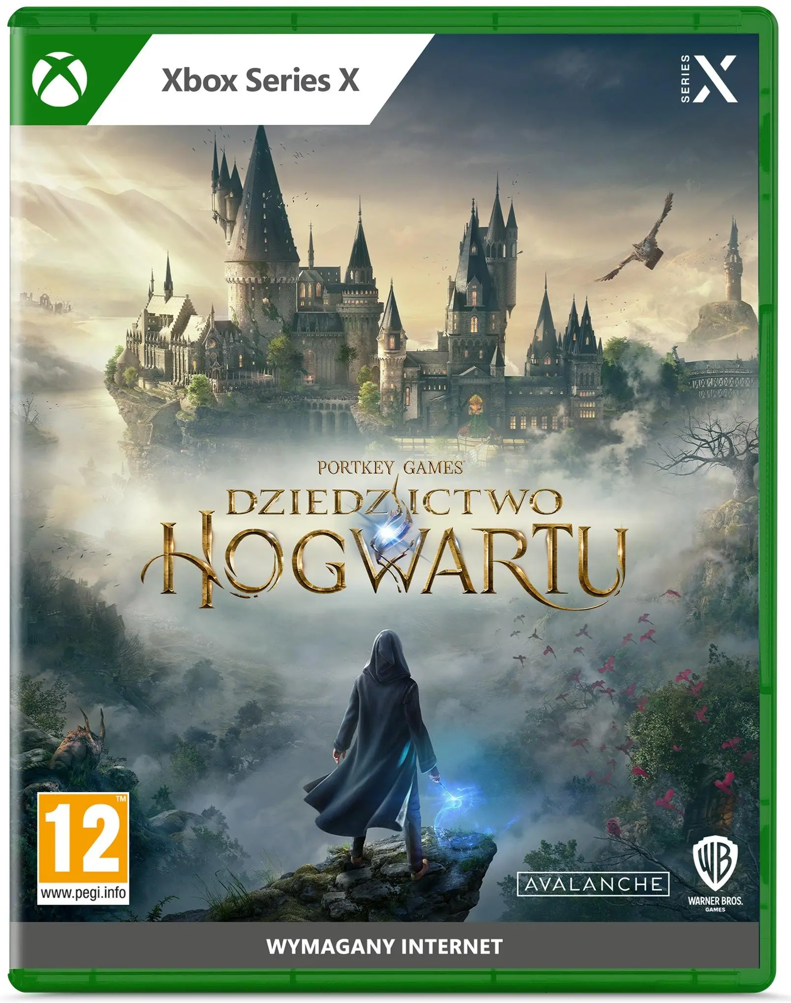Gra Dziedzictwo Hogwartu (Hogwarts Legacy) Gra na Xbox Series X