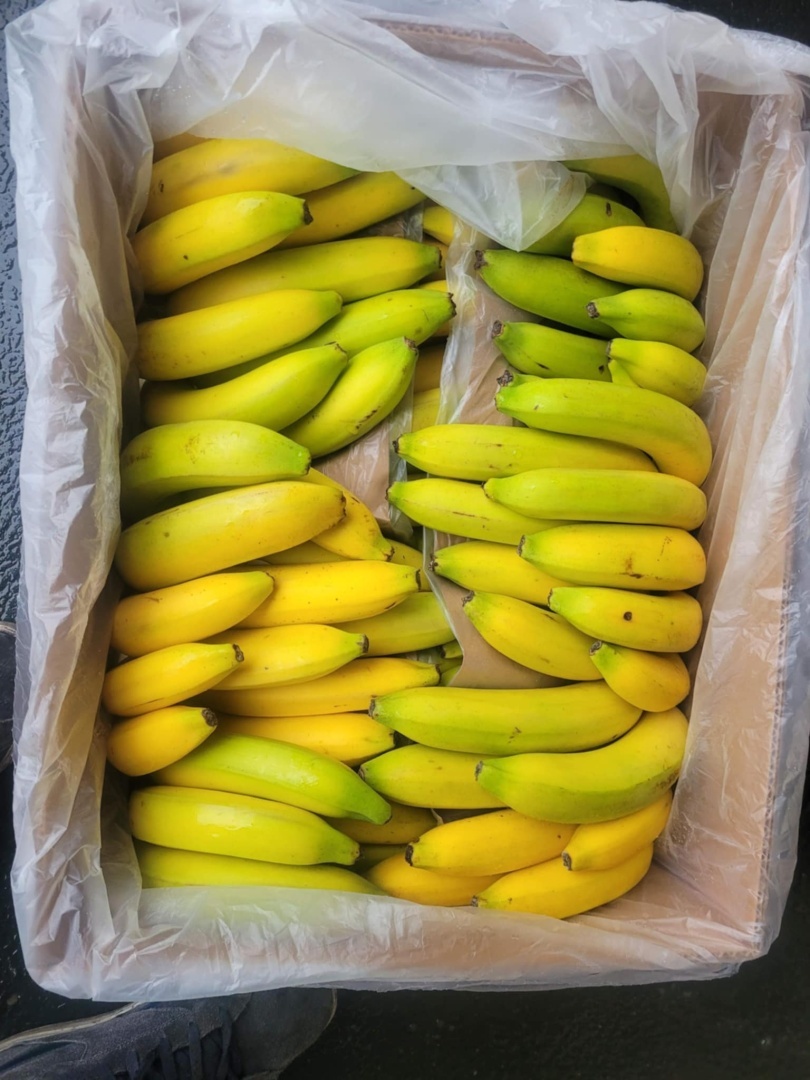 Banan karton 17 kg (kraj poch. Kolumbia)