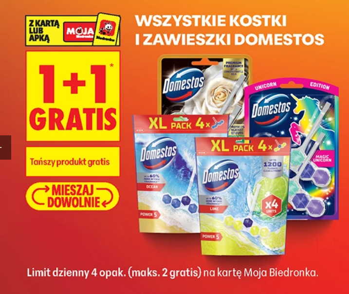 Wszystkie kostki i zawieszki DOMESTOS (1+1 GRATIS)