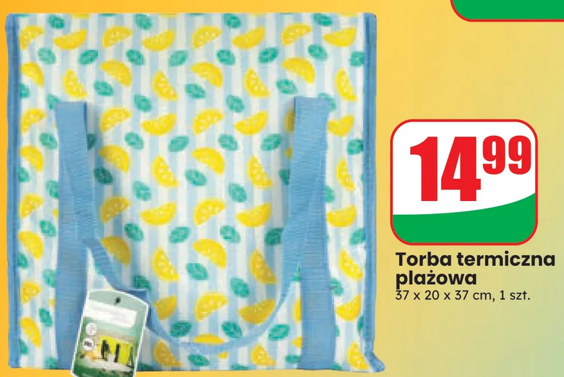 Torba termiczna plażowa wym. 37 x 20 x 37 cm 1 szt. - DINO