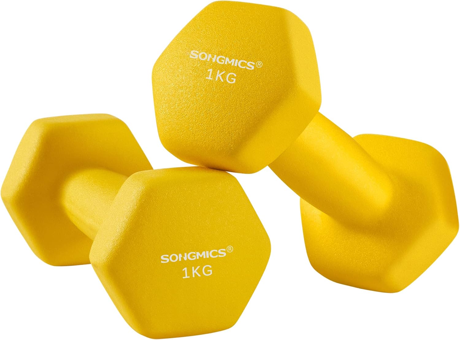 SONGMICS Hantle sześciokątne powlekane neoprenem 1 KG 2 szt