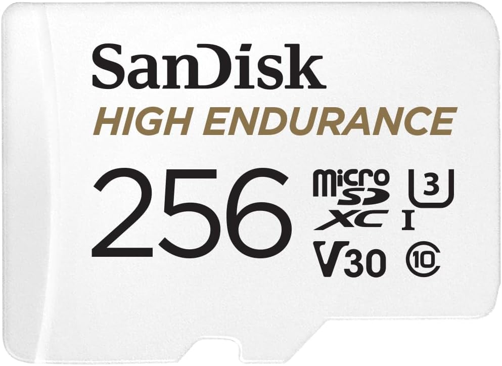 SanDisk Karta microSDXC 256 GB, 100 MB/s UHS-I Klasa 10 U3 V30