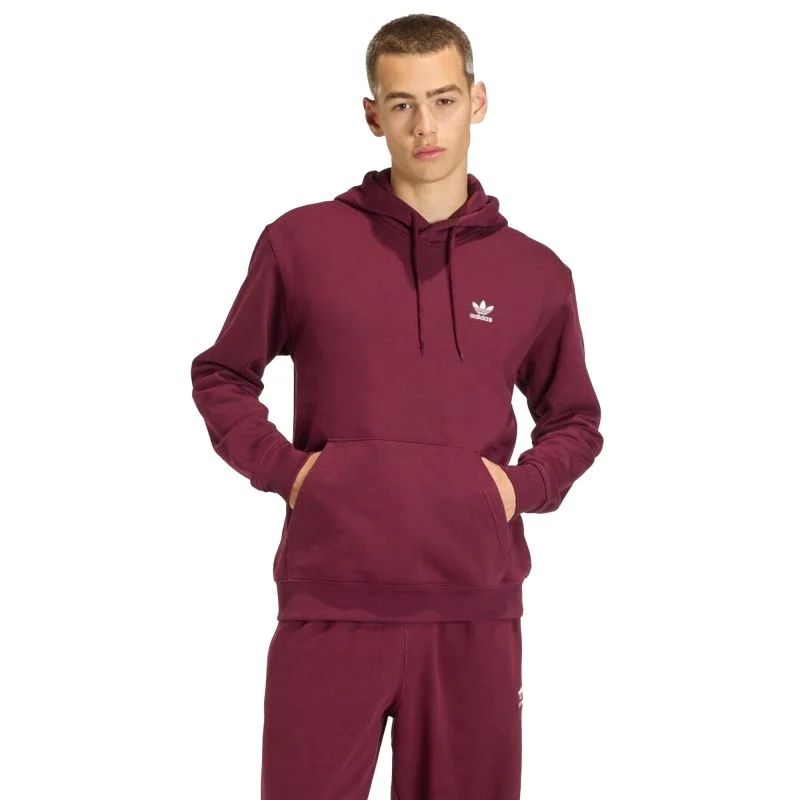ADIDAS MĘSKA BLUZA Z KAPTUREM ESS NC LOOSE HD (HY2079) - pełna rozmiarówka