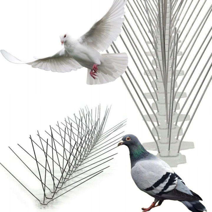 [Allegro] Kolce na ptaki gołębie mocne nierdzewne bardzo gęste przeciw ptakom 50 cm