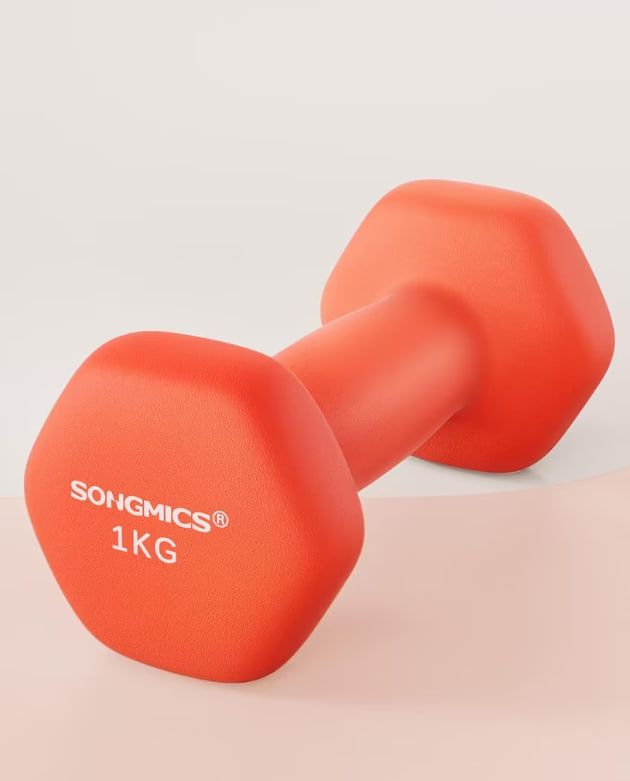 Hantle 2x1kg Songmics