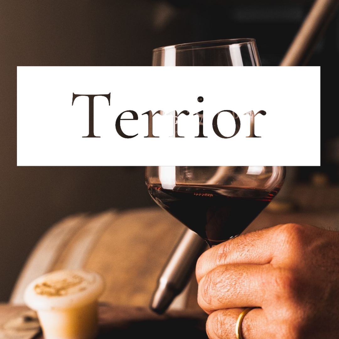 Kup 1 butelkę wina a 2 otrzymasz za 50%