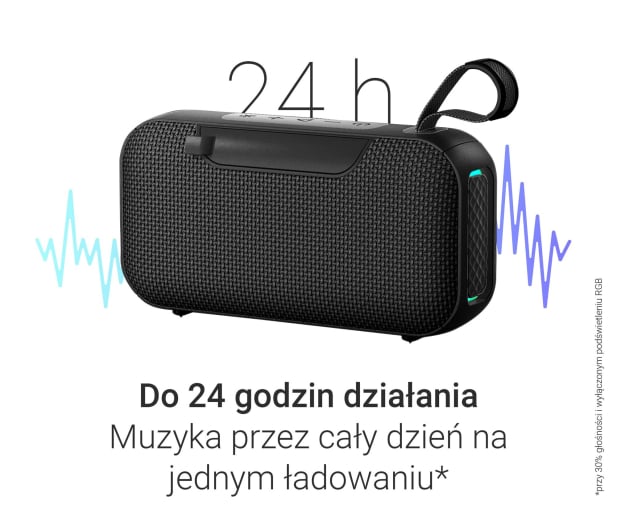Głośnik Silver Monkey NoiseGo 10W