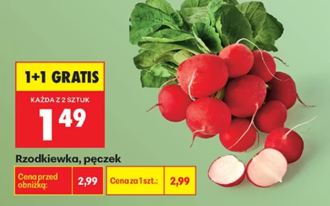 [Biedronka Rzodkiewki pęczek cena przy zakupie 2 pęczków