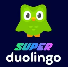 Roczny dostęp do Duolingo Super - nauka języków obcych
