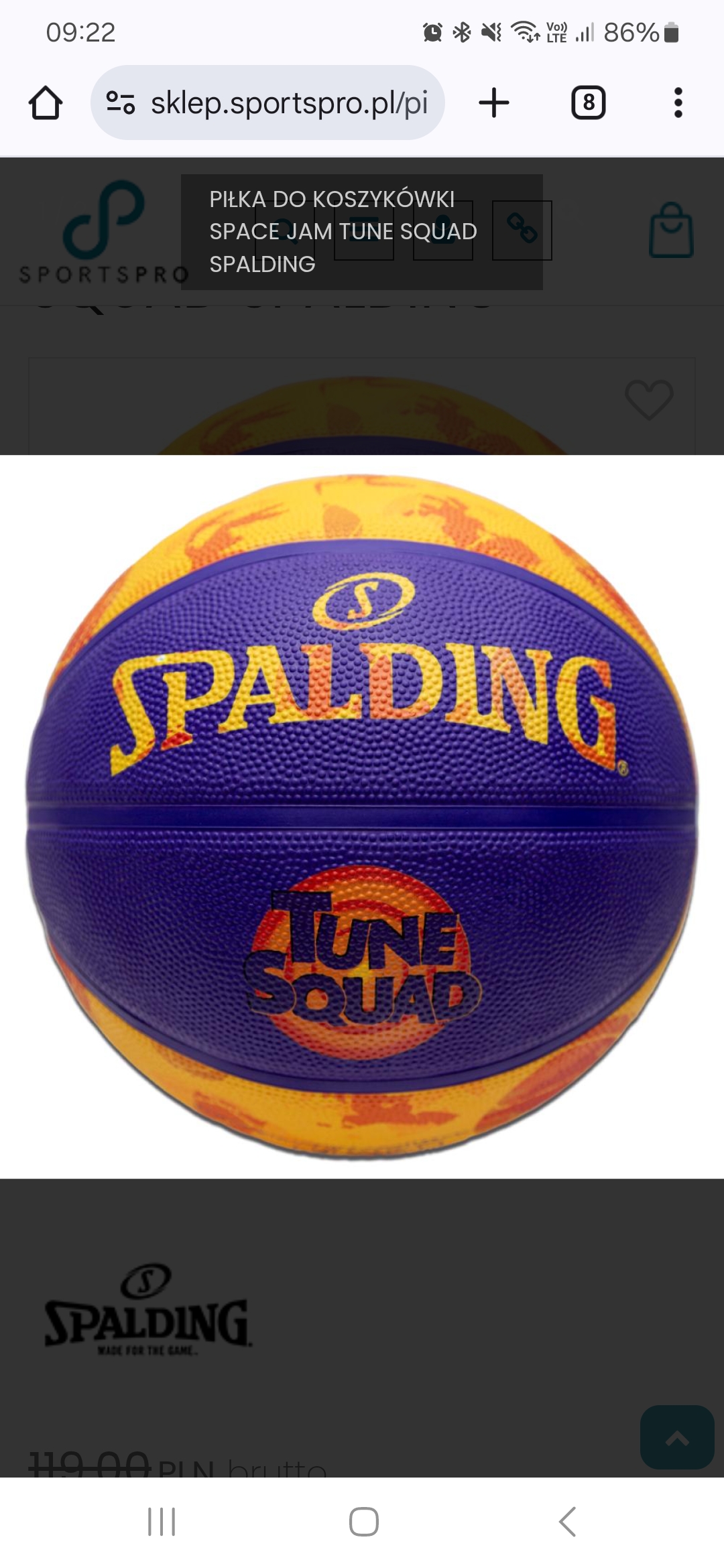 Piłka do koszykówki Spalding seria SpaceJam/Tune Squad