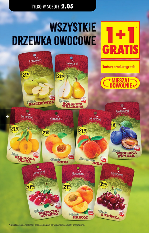 Wszystkie drzewka owocowe (1+1 GRATIS)