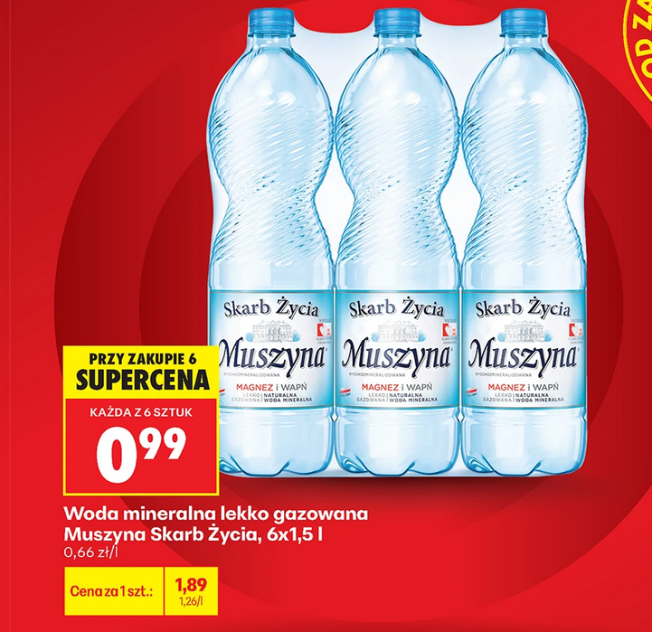 Woda mineralna lekko gazowana Muszyna Skarb Życia, 6x1.5 L