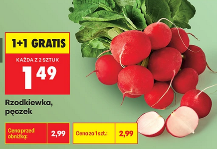 Rzodkiewka pęczek (1+1 GRATIS)