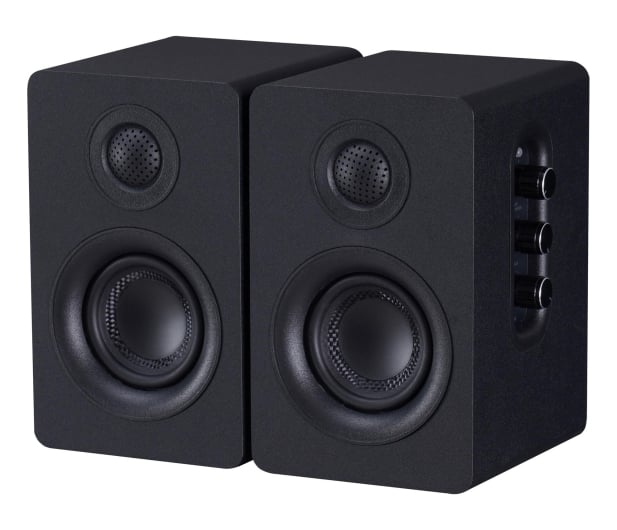 Głośniki Silver Monkey SP-250 Classic Black