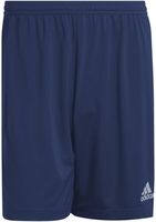 adidas Entrada 22 Shorts