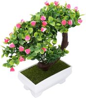 Sztuczne drzewo Bonsai