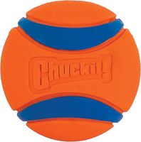 Piłka dla Psów Chuckit! Ultra Ball