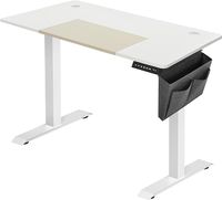 Biurko elektryczne SONGMICS LSD015W01 60x120x(72-120) cm
