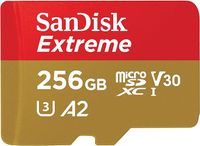 SanDisk Karta microSDXC 256 GB