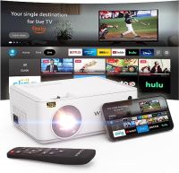 Projektor WEWATCH V10