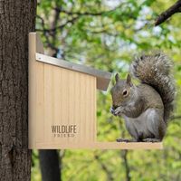 WILDLIFE FRIEND Karmnik dla wiewiórek