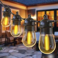 Quntis Łańcuch świetlny LED 31 m, IP65