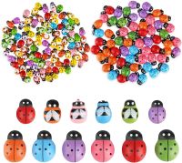 Drewniane biedronki i pszczoły, 160 sztuk