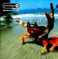 Winyl Prodigy The Fat Of The Land