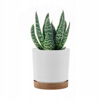 Doniczka na kwiaty z podstawką Tubo PM EKO DPOD110