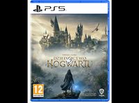 Gra PS5 Dziedzictwo Hogwartu (Hogwarts Legacy)