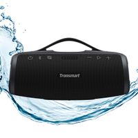 Głośnik mobilny TRONSMART Mirtune S100 Czarny
