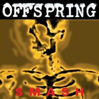 Winyl Smash - The Offspring